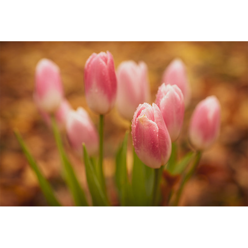 Tulip Flower Wall Covering for Home Wall Decor Water Resistant, Made to Measure