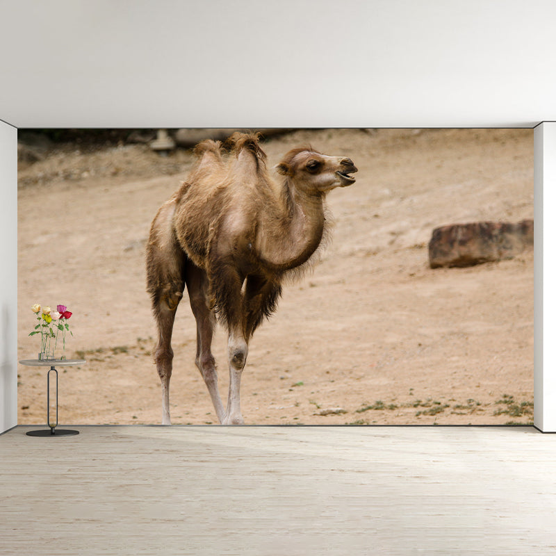 Desert Camel Wall Paper Moisture Resistant Living Room Wall Decor, Custom Size Available