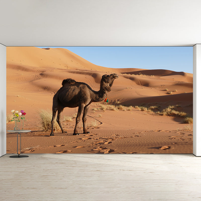 Camel Animal Murals Decal Washable Stain Resistant, Bedroom Wall Decoration
