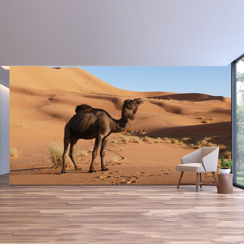 Camel Animal Murals Decal Washable Stain Resistant, Bedroom Wall Decoration