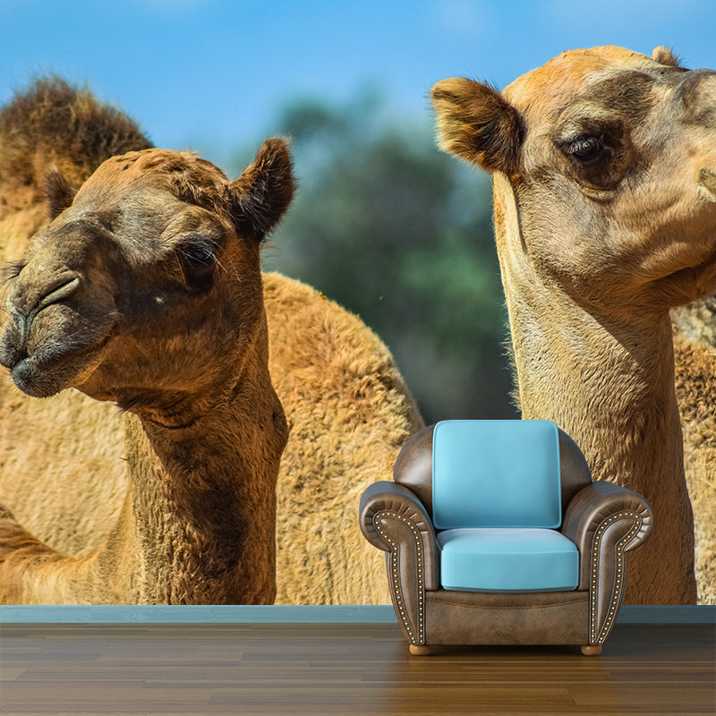 Camel Animal Murals Decal Washable Stain Resistant, Bedroom Wall Decoration