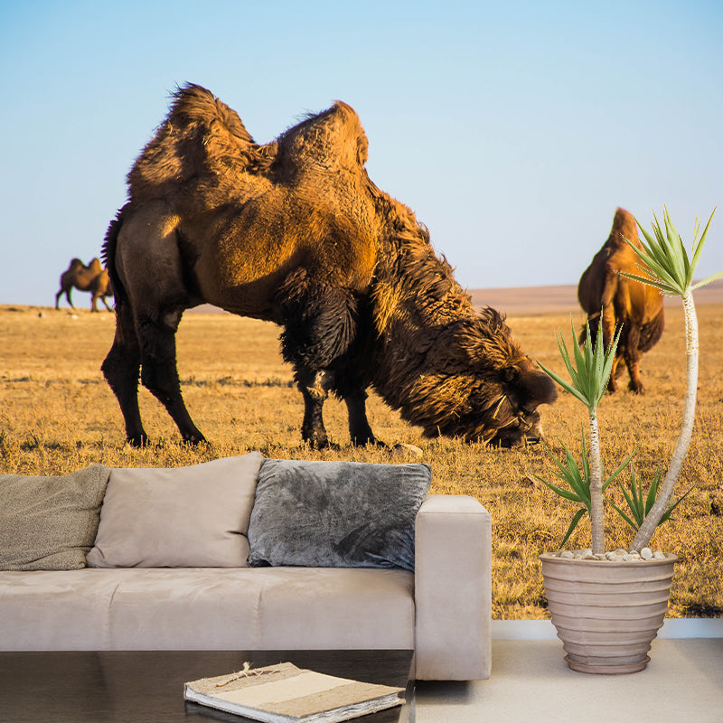 Camel and Desert Stain Resistant Mural Decal Modern Wall Decor for Gust Room