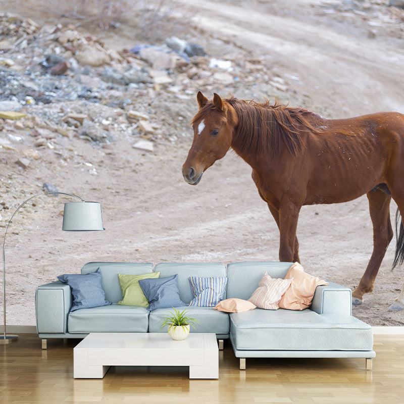 Horse Animal Mural Wallpaper for Home Decor Full Size, Moisture Resistant