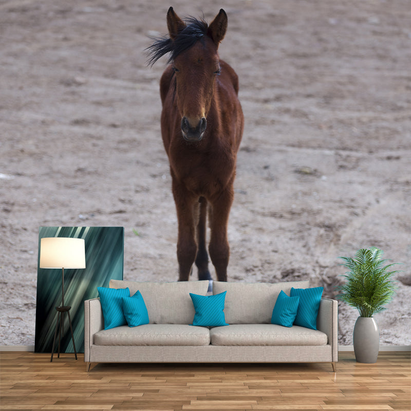 Horse Animal Mural Wallpaper for Home Decor Full Size, Moisture Resistant