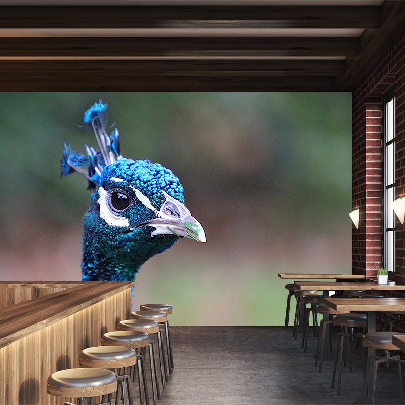 Tropical Peacock Photo Moisture Resistant Mural Decal Modern Wall Decor for Bedroom