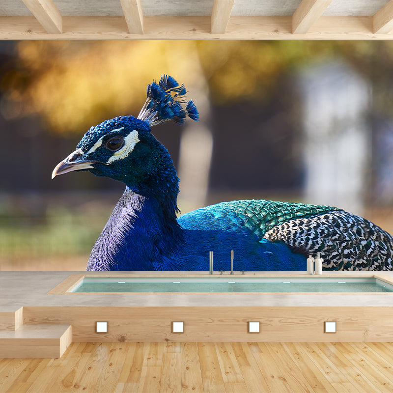 Tropical Peacock Photo Moisture Resistant Mural Decal Modern Wall Decor for Bedroom