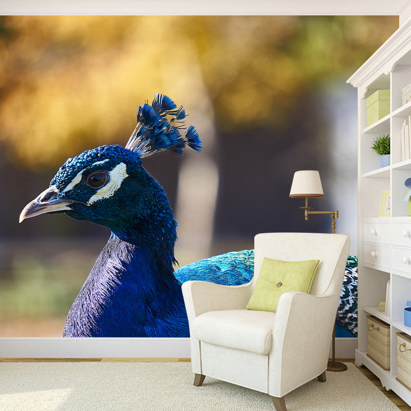 Tropical Peacock Photo Moisture Resistant Mural Decal Modern Wall Decor for Bedroom
