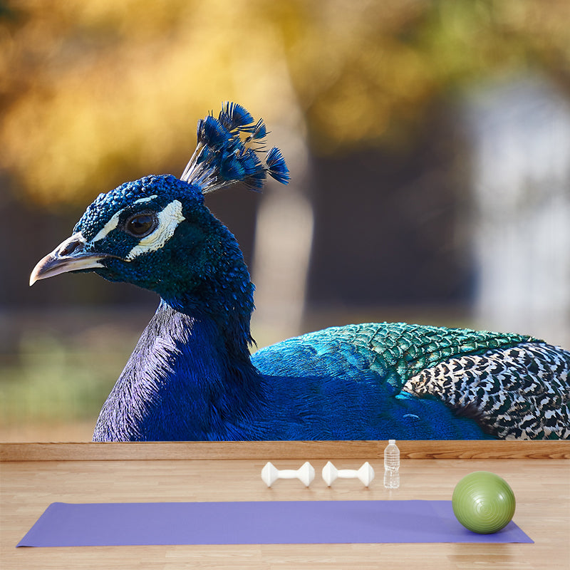 Tropical Peacock Photo Moisture Resistant Mural Decal Modern Wall Decor for Bedroom