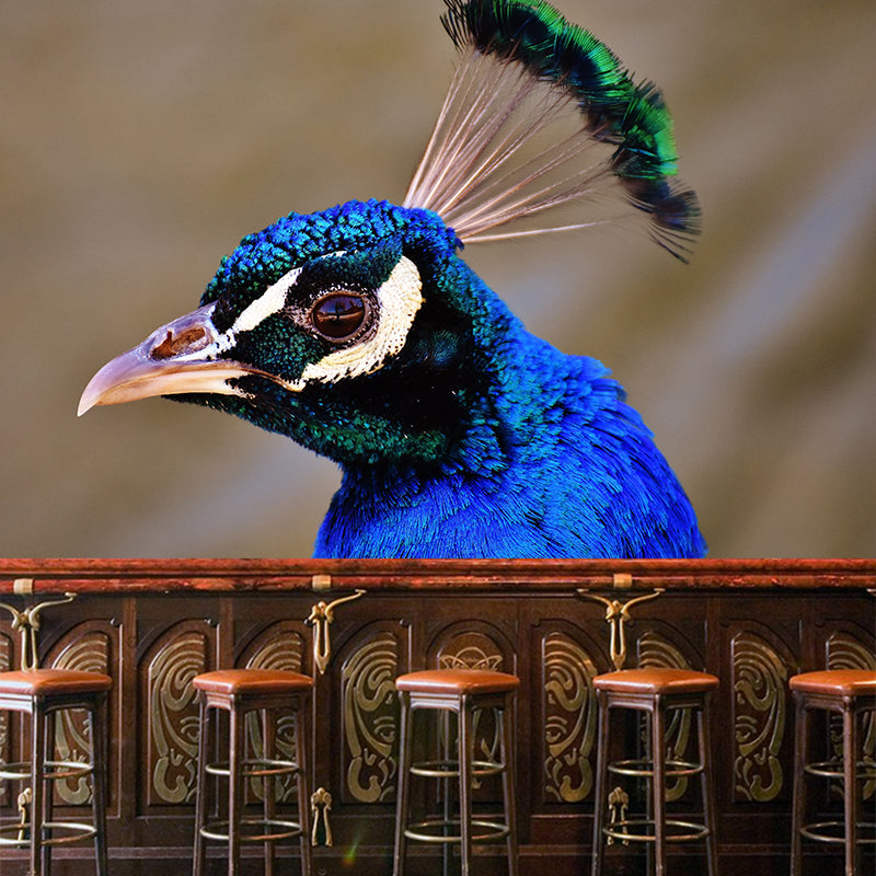 Blue Peacock Mural Decal Modern Style Washable Home Decor, Custom Size