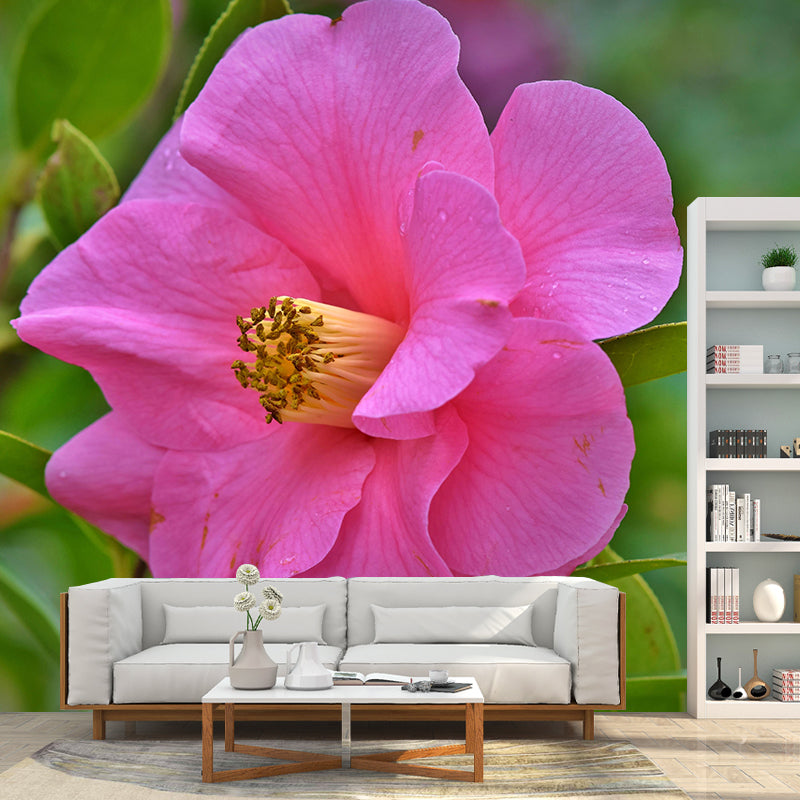 Camellia Mural Decal Contemporary Wallpaper Eco-friendly Wall Decor for Bedroom
