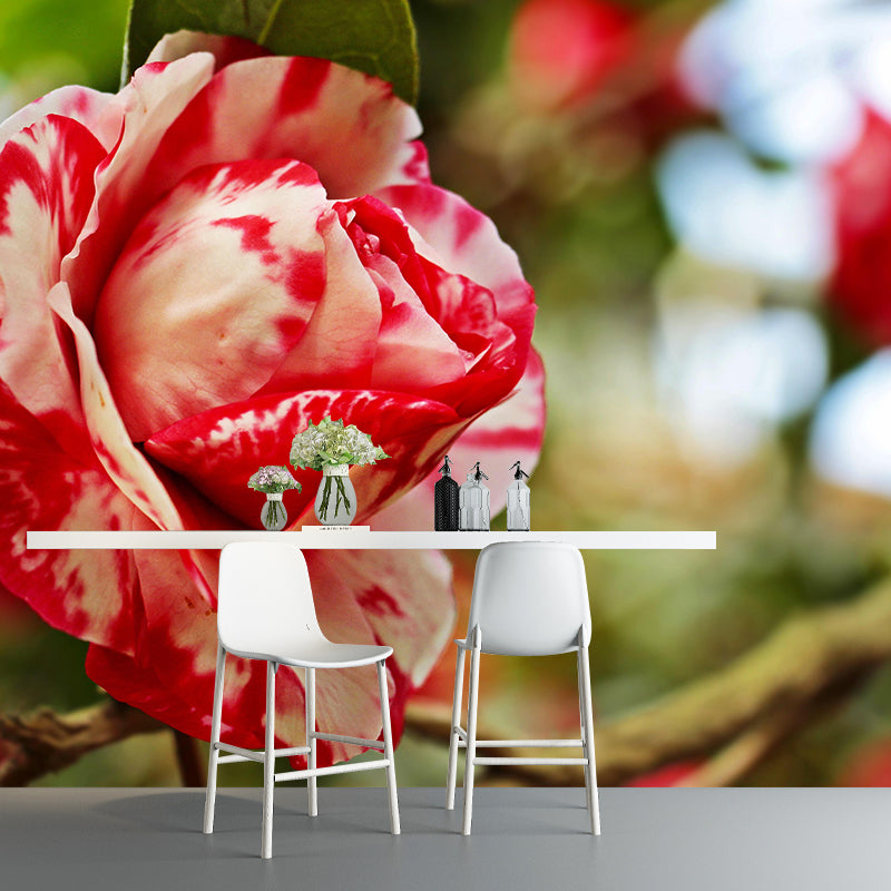 Camellia Mural Decal Contemporary Wallpaper Eco-friendly Wall Decor for Bedroom