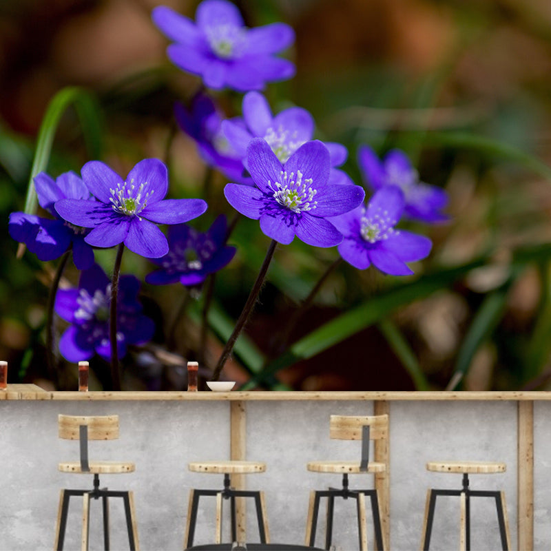 Wildflowers Mural Decal Contemporary Wallpaper Eco-friendly Wall Decor for Bedroom