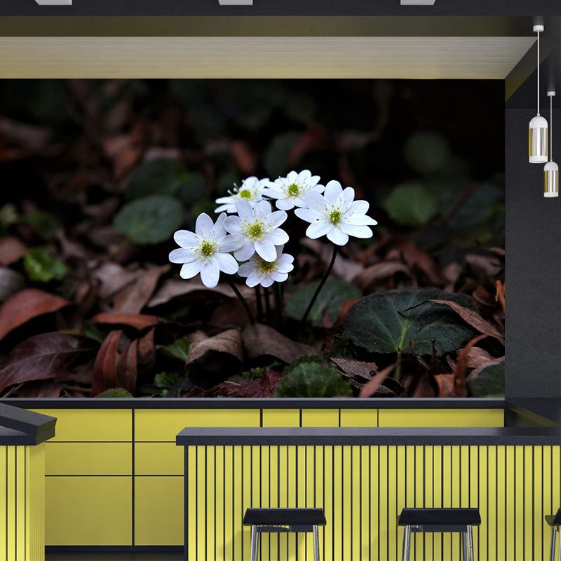 Wildflowers Mural Decal Contemporary Wallpaper Eco-friendly Wall Decor for Bedroom