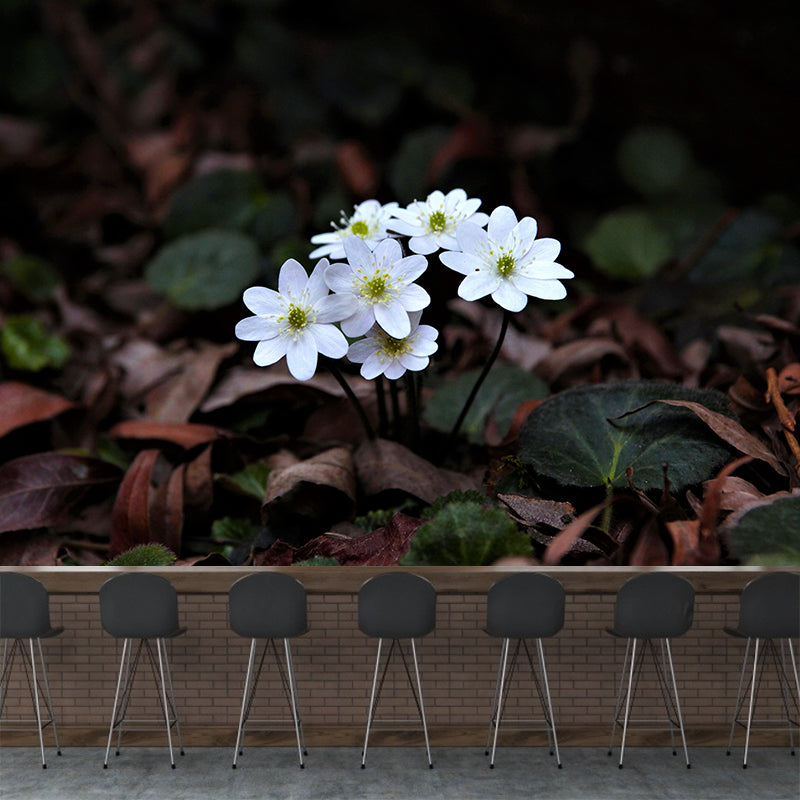 Wildflowers Mural Decal Contemporary Wallpaper Eco-friendly Wall Decor for Bedroom