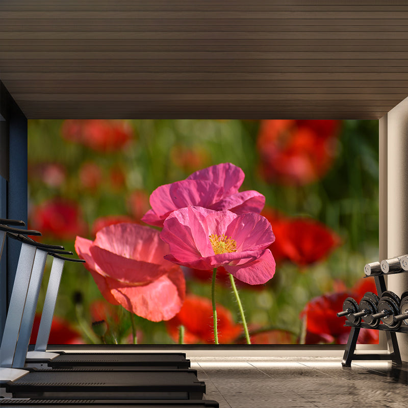 Poppies Flowe Mural Decal Contemporary Wallpaper Eco-friendly Wall Decor for Bedroom