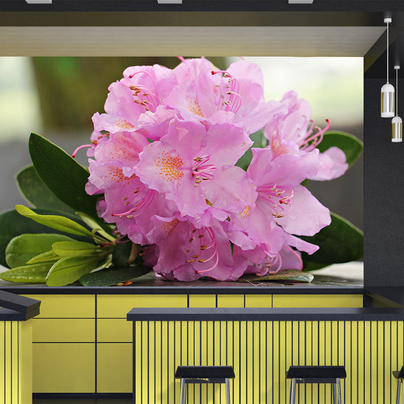Azalea Flowe Mural Decal Contemporary Wallpaper Eco-friendly Wall Decor for Bedroom