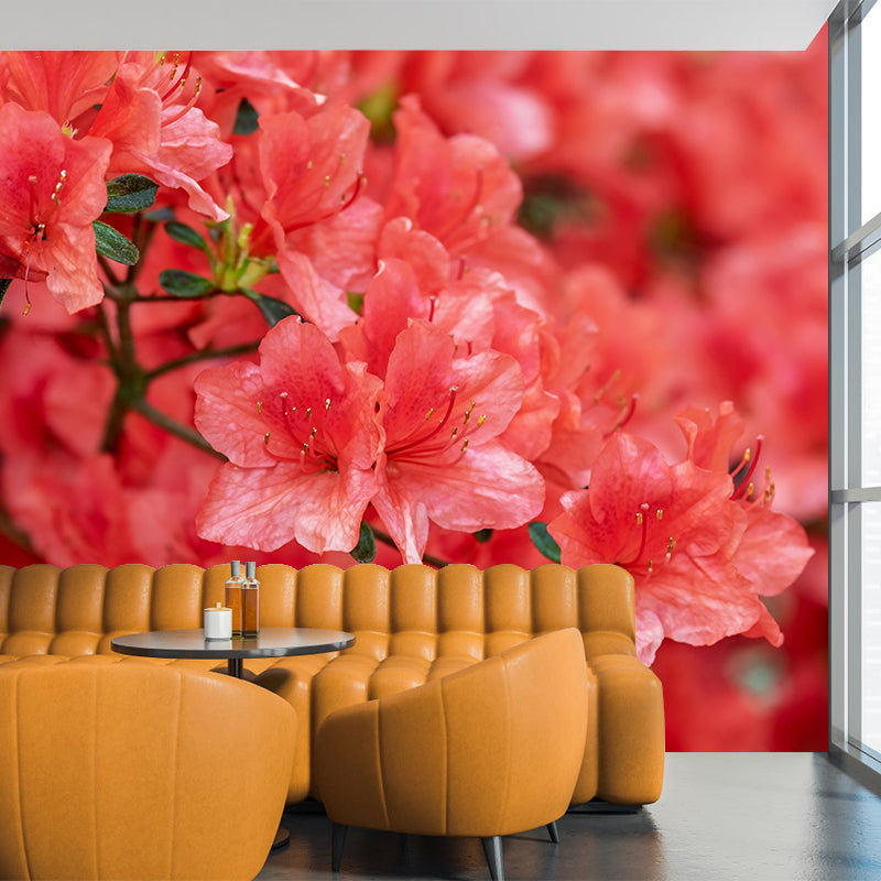 Azalea Flowe Mural Decal Contemporary Wallpaper Eco-friendly Wall Decor for Bedroom