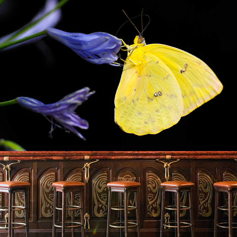 Photography Butterfly Mural Wallpaper Moisture Resistant for Living Room Bedroom