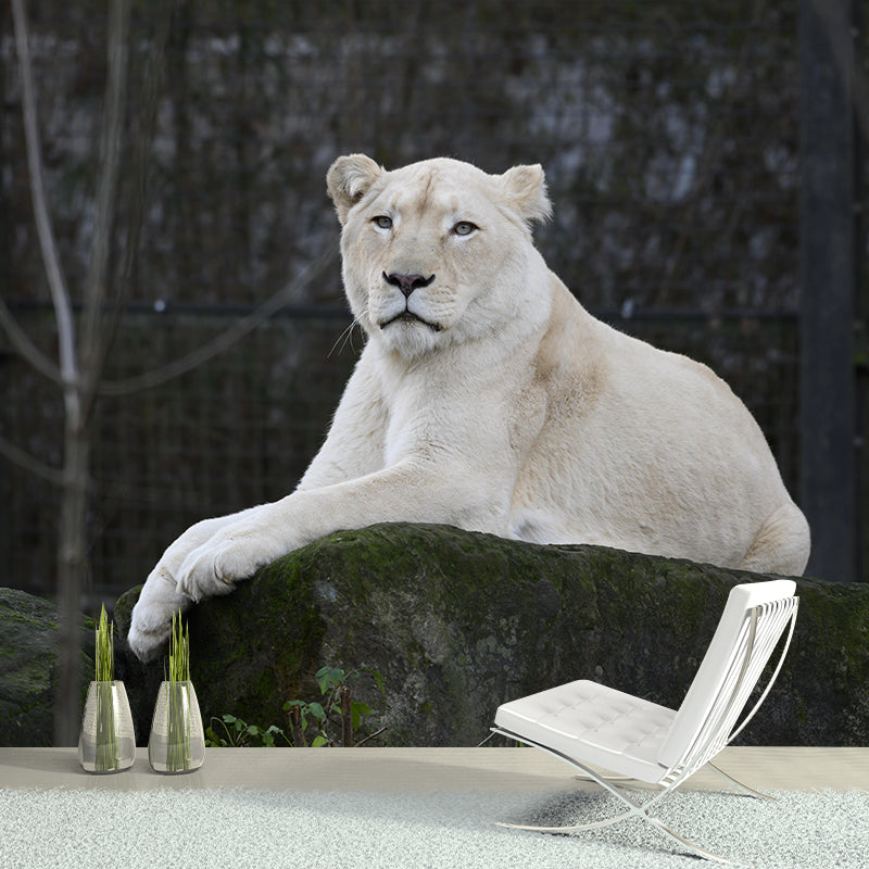 Lioness Mural Decal Contemporary Wallpaper Eco-friendly Wall Decor for Bedroom