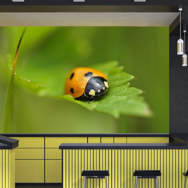 Little Ladybug Mural Wallpaper Moisture Resistant for Living Room Bedroom