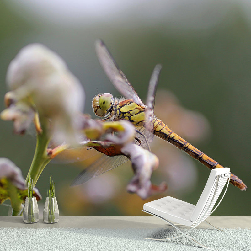 Dragonfly Mural Wallpaper Moisture Resistant Living Room Bedroom Wall Decor