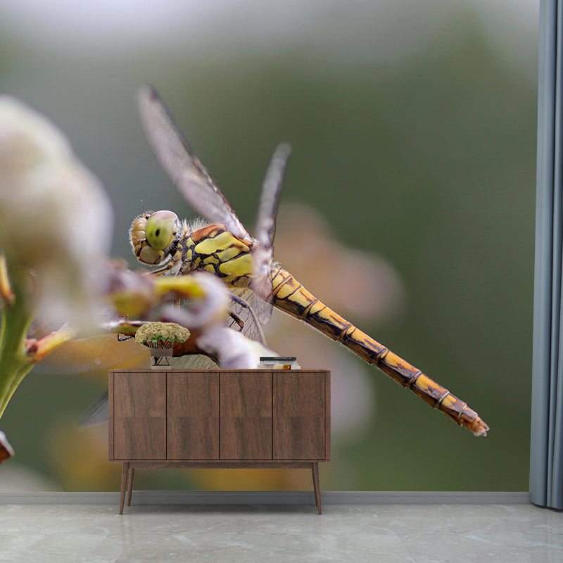 Dragonfly Mural Wallpaper Moisture Resistant Living Room Bedroom Wall Decor