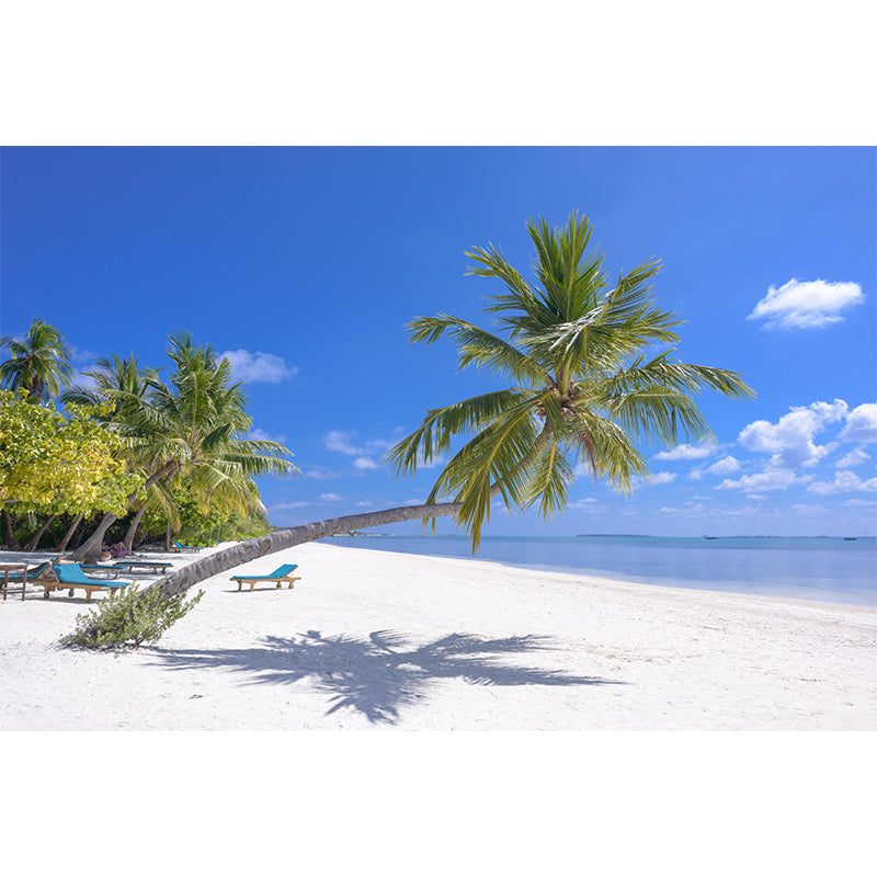 Sandy Beach Coast Wallpaper Mural Contemporary Wall Covering for Bathroom