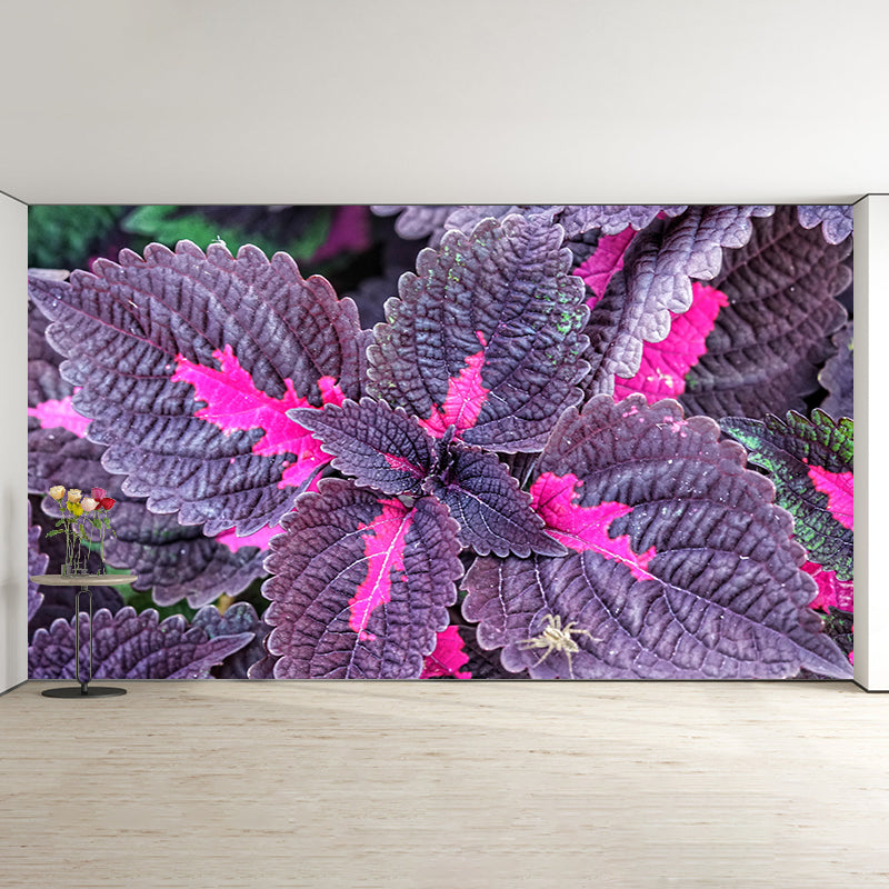 Coleus Leaves Mural Wallpaper Stain Resistant Wall Covering for Living Room
