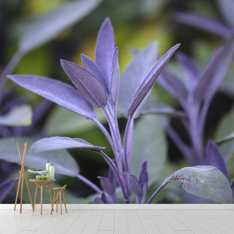 Coleus Leaves Mural Wallpaper Stain Resistant Wall Covering for Living Room