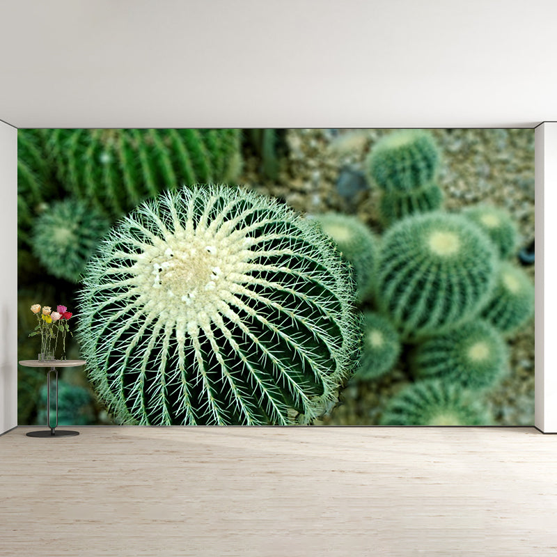 Customized Modern Plants Mural Wallpaper with Cactus Pattern Mildew Resistant