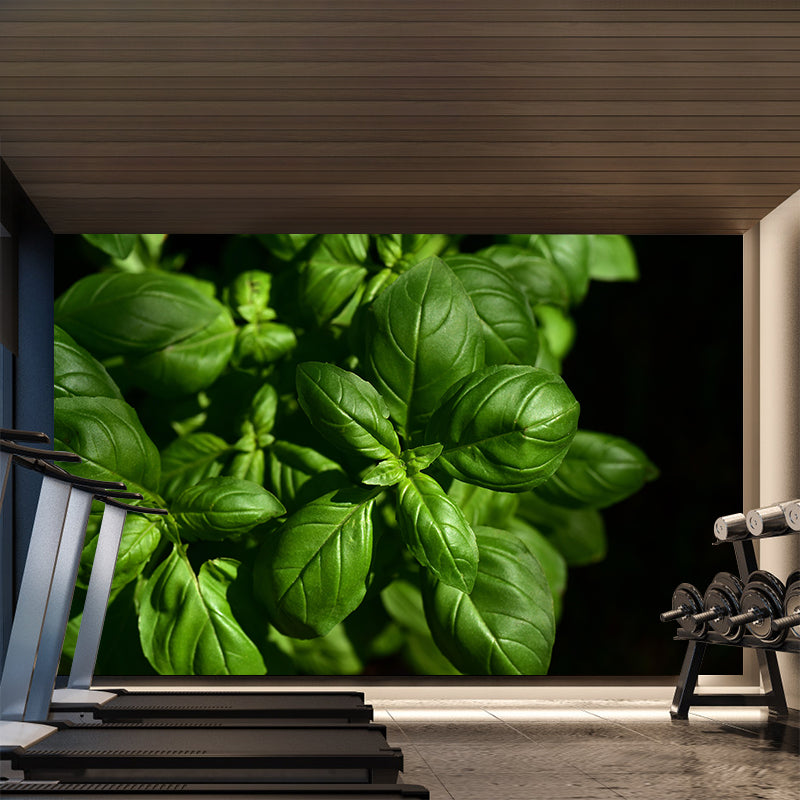 Basil Leaf Painting Mural Decal Modern Mildew Resistant Wall Covering for Decoration