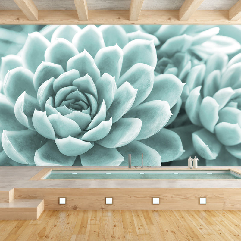 Succulent Potted Plants Mural Wallpaper Stain Resistant Wall Covering for Living Room