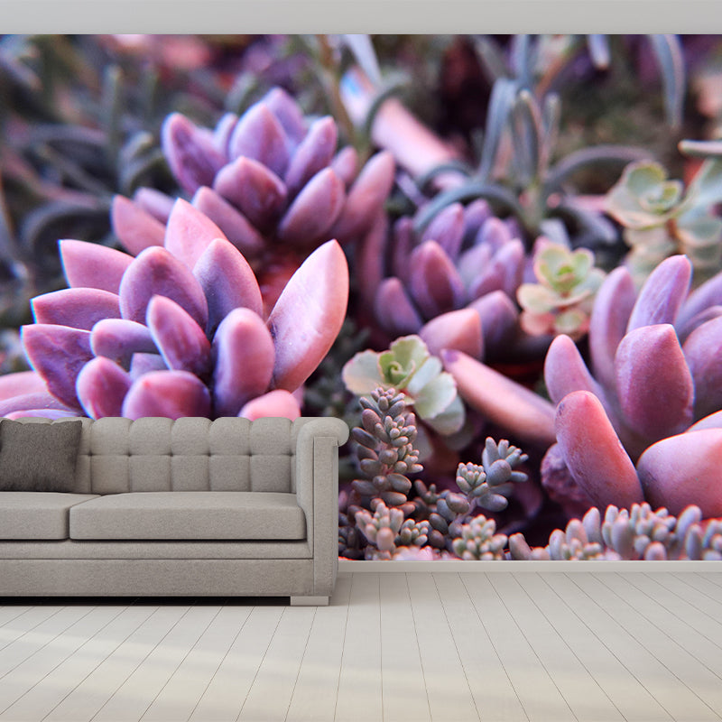 Succulent Potted Plants Mural Wallpaper Stain Resistant Wall Covering for Living Room