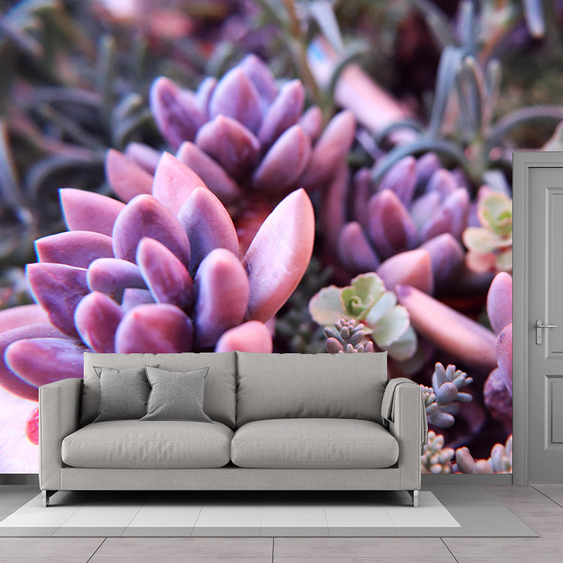 Succulent Potted Plants Mural Wallpaper Stain Resistant Wall Covering for Living Room