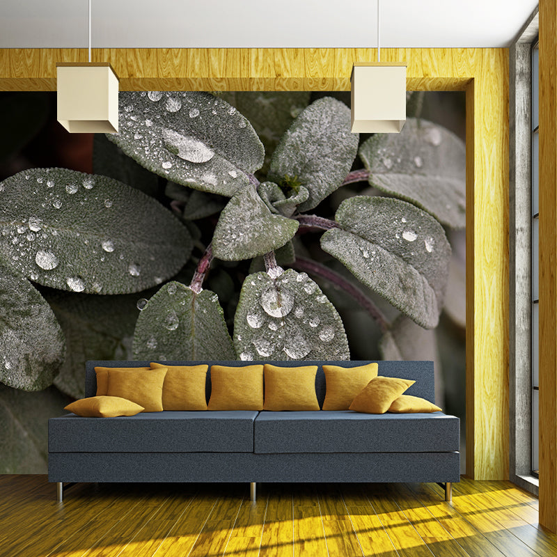 Herb Painting Mural Decal Modern Mildew Resistant Wall Covering for Decoration