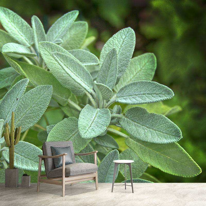 Herb Painting Mural Decal Modern Mildew Resistant Wall Covering for Decoration