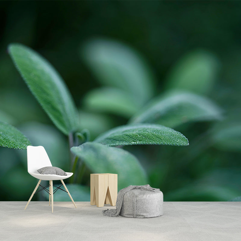 Herb Painting Mural Decal Modern Mildew Resistant Wall Covering for Decoration