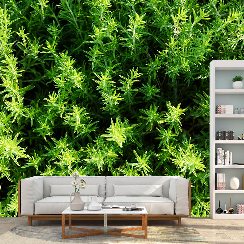 Customized Modern Plants Mural Wallpaper with Thyme Pattern Mildew Resistant