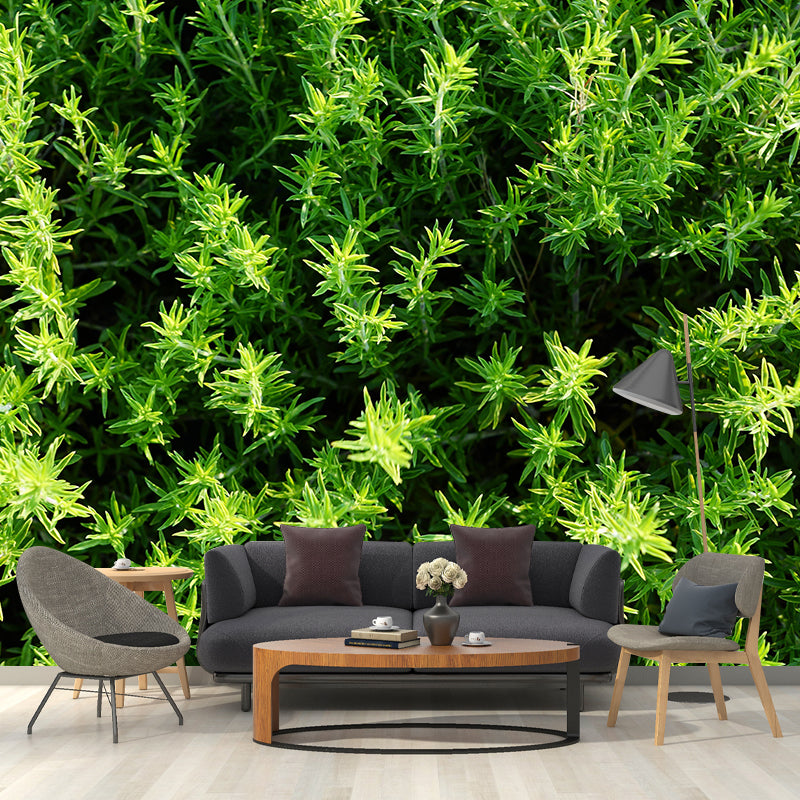 Customized Modern Plants Mural Wallpaper with Thyme Pattern Mildew Resistant
