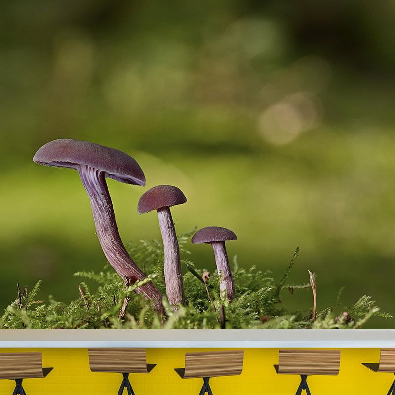 Mushrooms Mural Modern Stain Resistant Bedroom Wall Decor in Bright Color