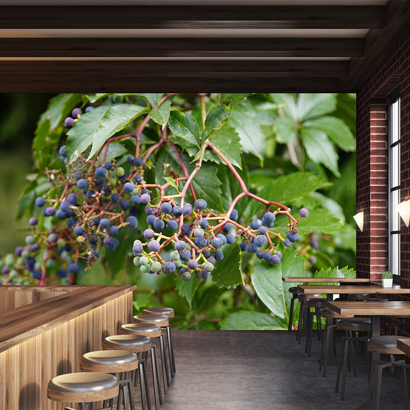 Customized Virginia-Creeper Plant Mural Wallpaper Mildew Resistant Wall Decor