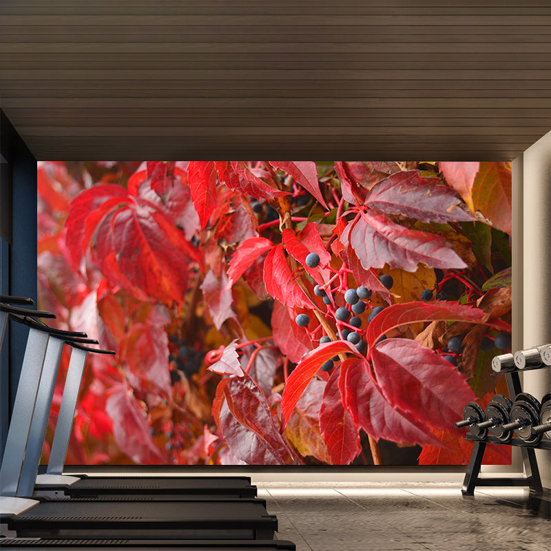 Customized Virginia-Creeper Plant Mural Wallpaper Mildew Resistant Wall Decor