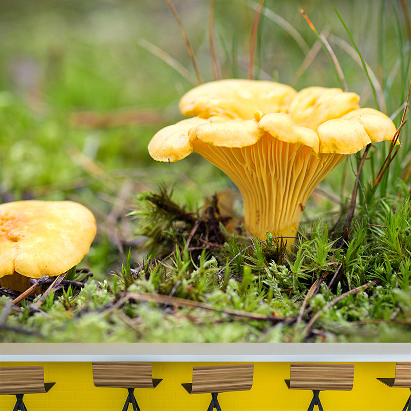 Customized Edible mushrooms Plant Mural Wallpaper Mildew Resistant Wall Decor