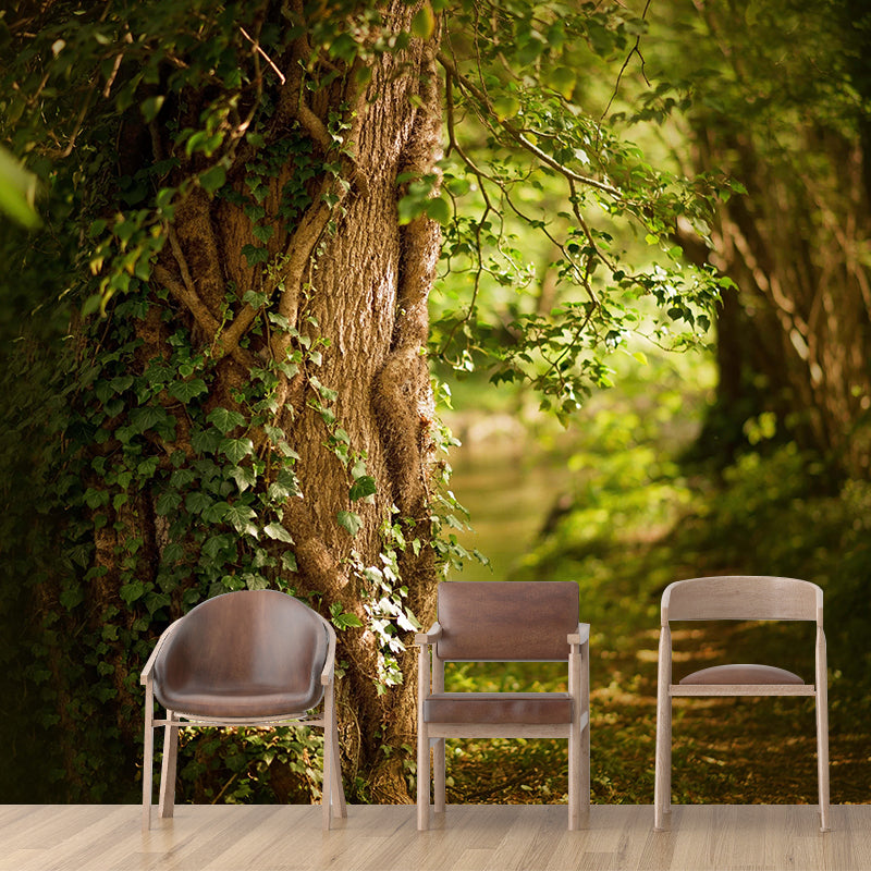Spring Forest Scenery Wall Mural Contemporary Home Decor for Sitting Room