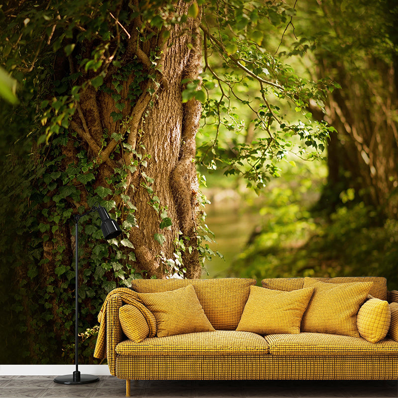 Spring Forest Scenery Wall Mural Contemporary Home Decor for Sitting Room