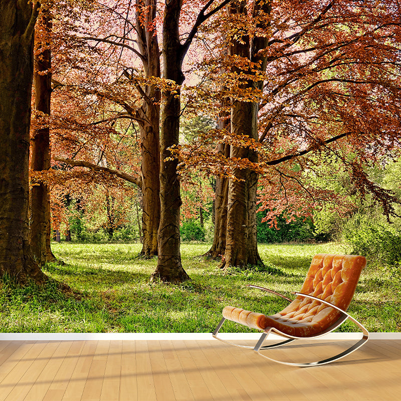 Spring Forest Scenery Wall Mural Contemporary Home Decor for Sitting Room