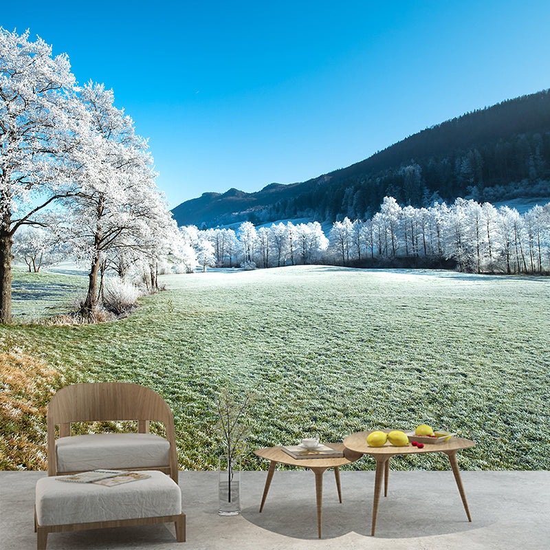 Winter Forest Scenery Wall Mural Contemporary Home Decor for Sitting Room