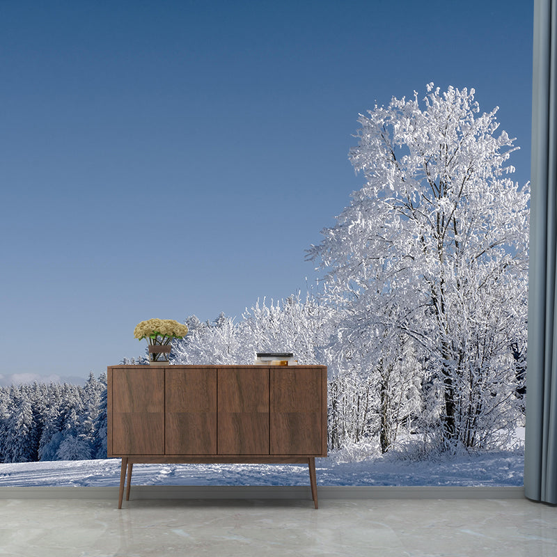Winter Forest Scenery Wall Mural Contemporary Home Decor for Sitting Room