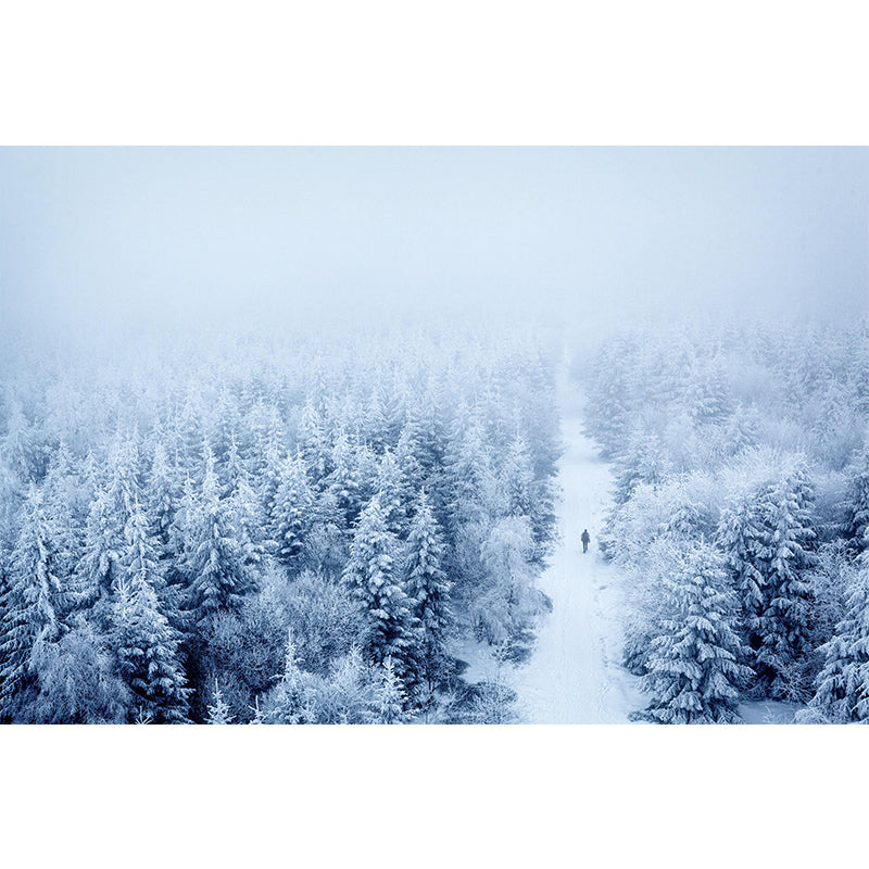 Winter Forest Scenery Wall Mural Contemporary Home Decor for Sitting Room