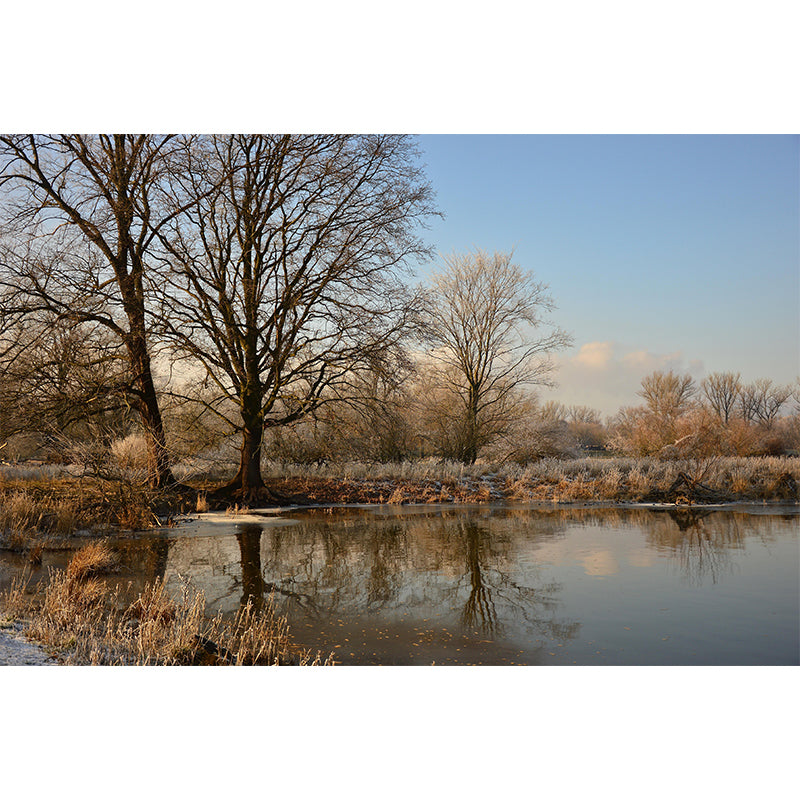 Customized Winter Forest Wall Mural Mildew Resistant Wall Decor for House Interior